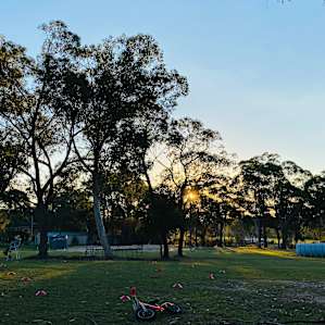 Reynella @ Somersby Camping