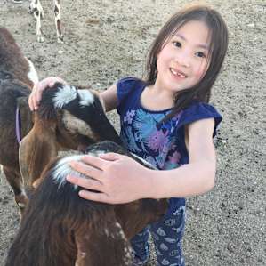 Goats love to interact with people!