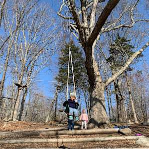 The biggest hit for the kids- the tall tree swing over the hill. Could entertain them for hours.