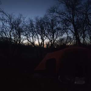 Beautiful sunset