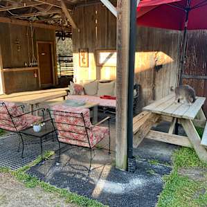 Secluded RV Setting