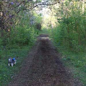 Primitive Urban Camping