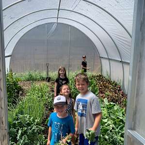 Picking greens for the bunnies