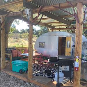 Camp Chester Magic Forest Retreat