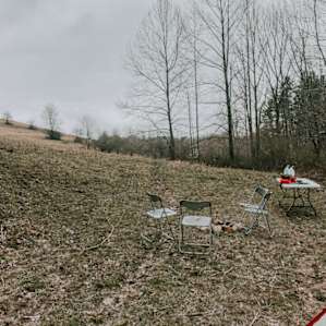Pine forest or field camping