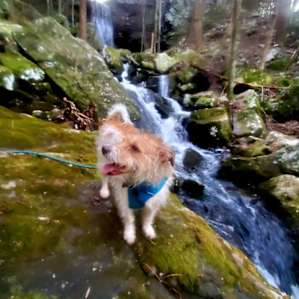 Exploring the downstream of the falls