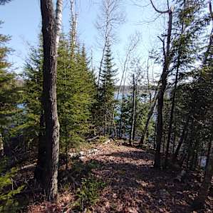 Esker Ridge Studio