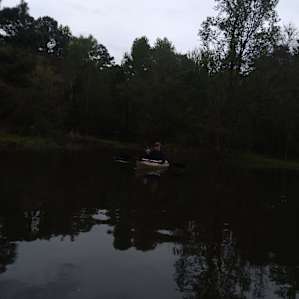 National forest on Lake Conroe