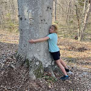 Hawthorn Hollar