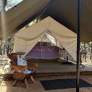 Glamping Cargo Tent