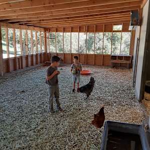 Loomerland Ranch/Farm Tent Spot 2