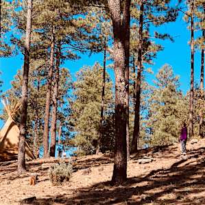 Forest to explore and property sits next to acreage with grazing horses.