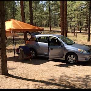 Sunny spots are plenty among the tall trees, car camping is welcomed.