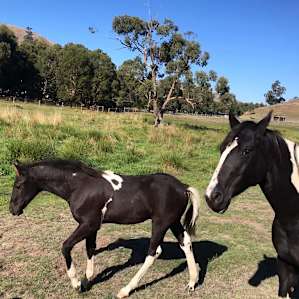 Escape to a Country Valley