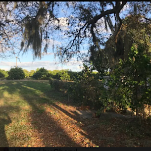 The view of the Orange Tree Mangroves, which you can walk through. Picture taken from under the Oak Tree we out our tent under.