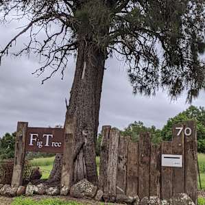 FigTree Camping with Ammenities