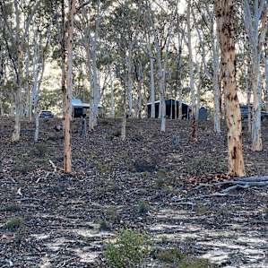 Wandoo Woodland Bush Camp