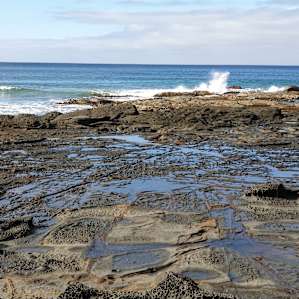 Lots of rock pools at low tide to explore a short drive away.