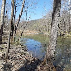 Primitive Tent & Boondocking Sites