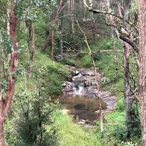 Stonepine Ridge: Bookookarara Creek