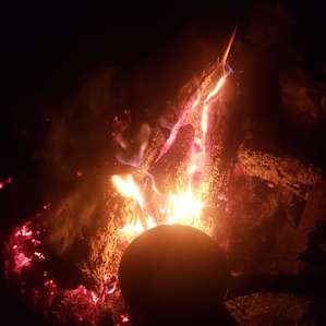 National forest on Lake Conroe