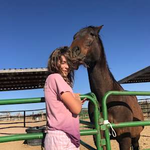 Horses next door