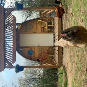 Sunny's Hut