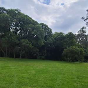 Riverview Retreat Paddock Camping