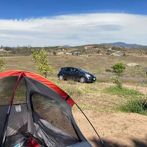 Temecula Shaded Oasis & Mini Goats