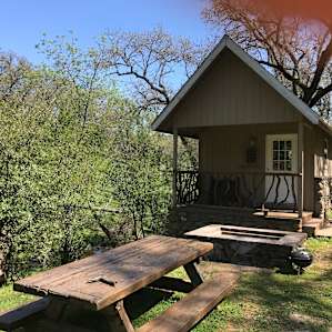 The nice picnic table, fire pit, and cabin (#2)