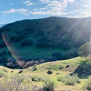 View from the eastern slope looking into Joanna’s valley. I camped across the creek bed - car and tent at the tree line
