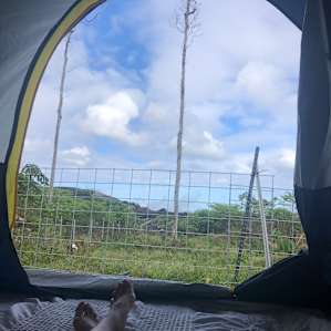 The view from our tent - Fisher 8