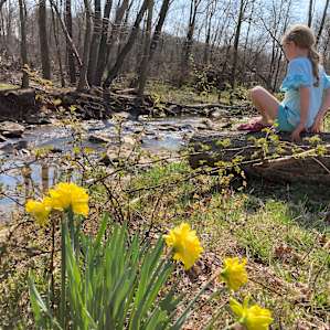 Spring House Retreat