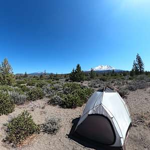 Shasta Juniper High Desert