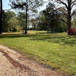 Another large field where your three year old (center) can wander off on their own to meditate.