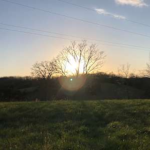 Tree Line Retreat