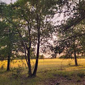 Briers Ranch Primitive Camping
