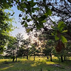 Briers Ranch Primitive Camping