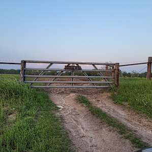 Briers Ranch Primitive Camping