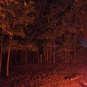 Campfire heaven