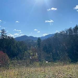 Smoky Mtn. Mangalitsa Car Camp