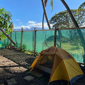 ❤️ of Haleiwa Tent Spot 1