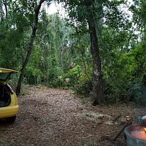Horseshoe Creek camping site.