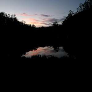 Wild Toad Lake