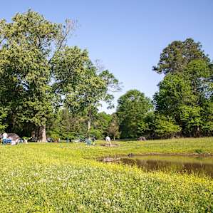 Divine Mercy Tent + Family Camping