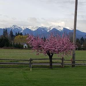 Although I took this photo outside (in front of our car), this was our view from our camper's "dining room" window.