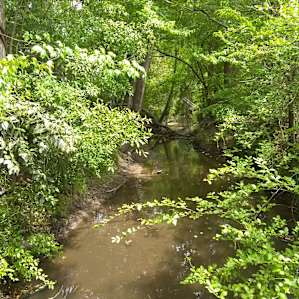 A creek that runs through the property.