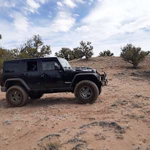 20 minutes to the Petrified Forest