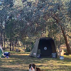 Room for 2+ families! Site 2