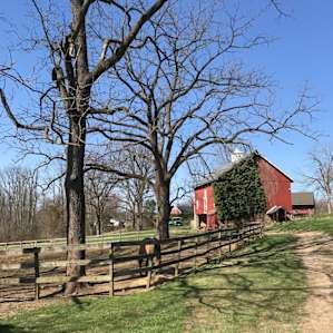 View on the walk from the barn